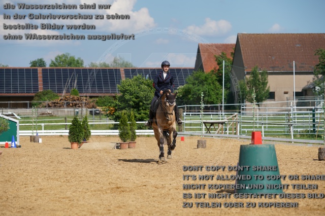 s_K3F07010.JPG
